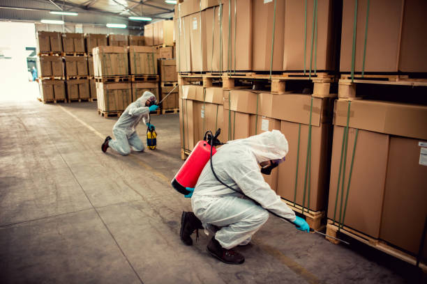 Pest Control Cost in Coventry Lake, CT