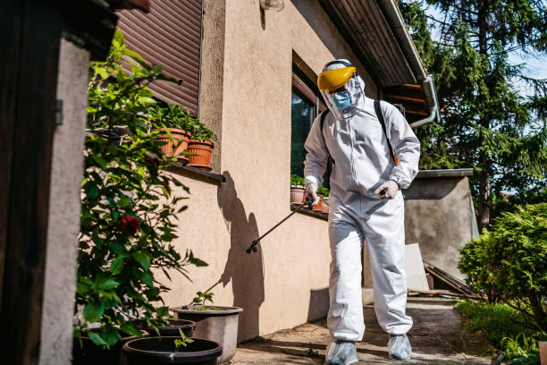 Best Residential Pest Control  in Coventry Lake, CT