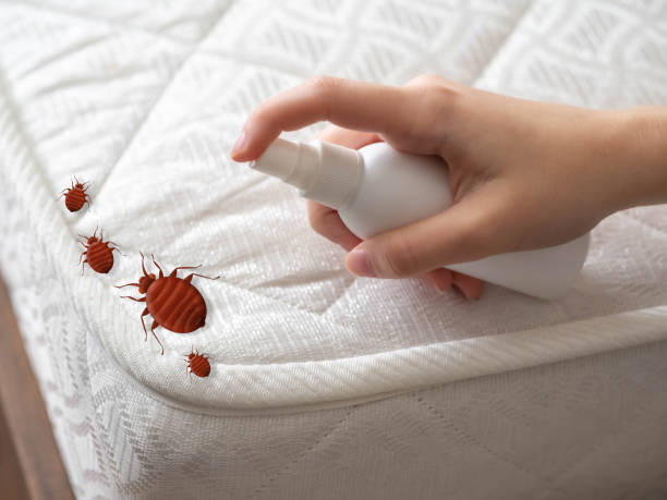 Best Pest Prevention Services  in Coventry Lake, CT