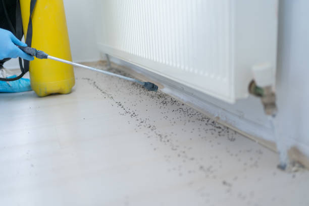 Best Cockroach Control Services  in Coventry Lake, CT